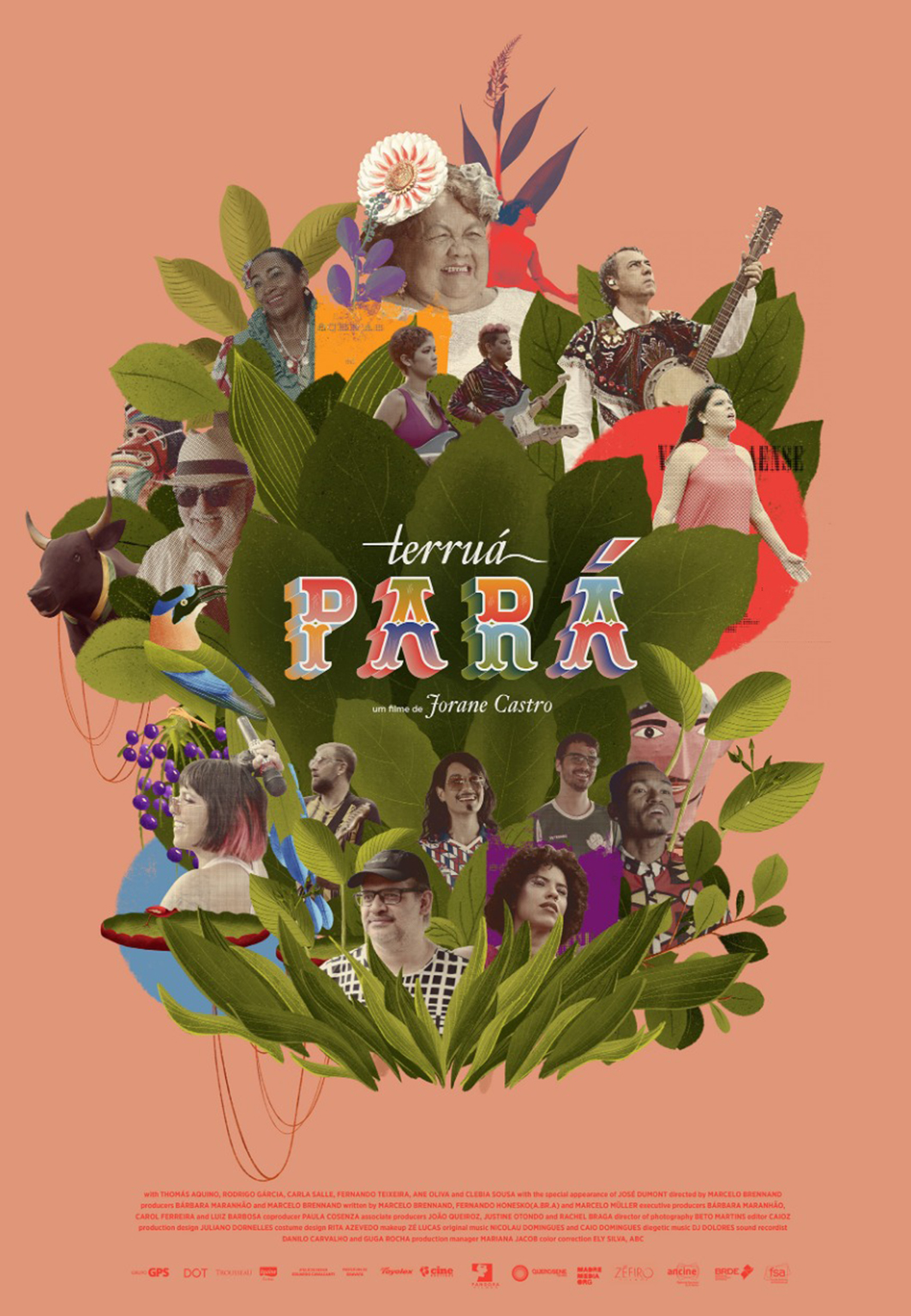 Terruá Pará title=